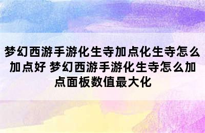 梦幻西游手游化生寺加点化生寺怎么加点好 梦幻西游手游化生寺怎么加点面板数值最大化